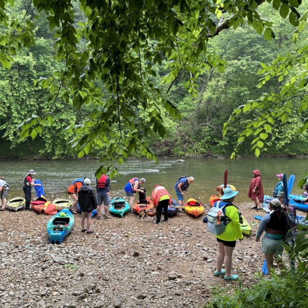 Full-Day-photo-canoes-scaled